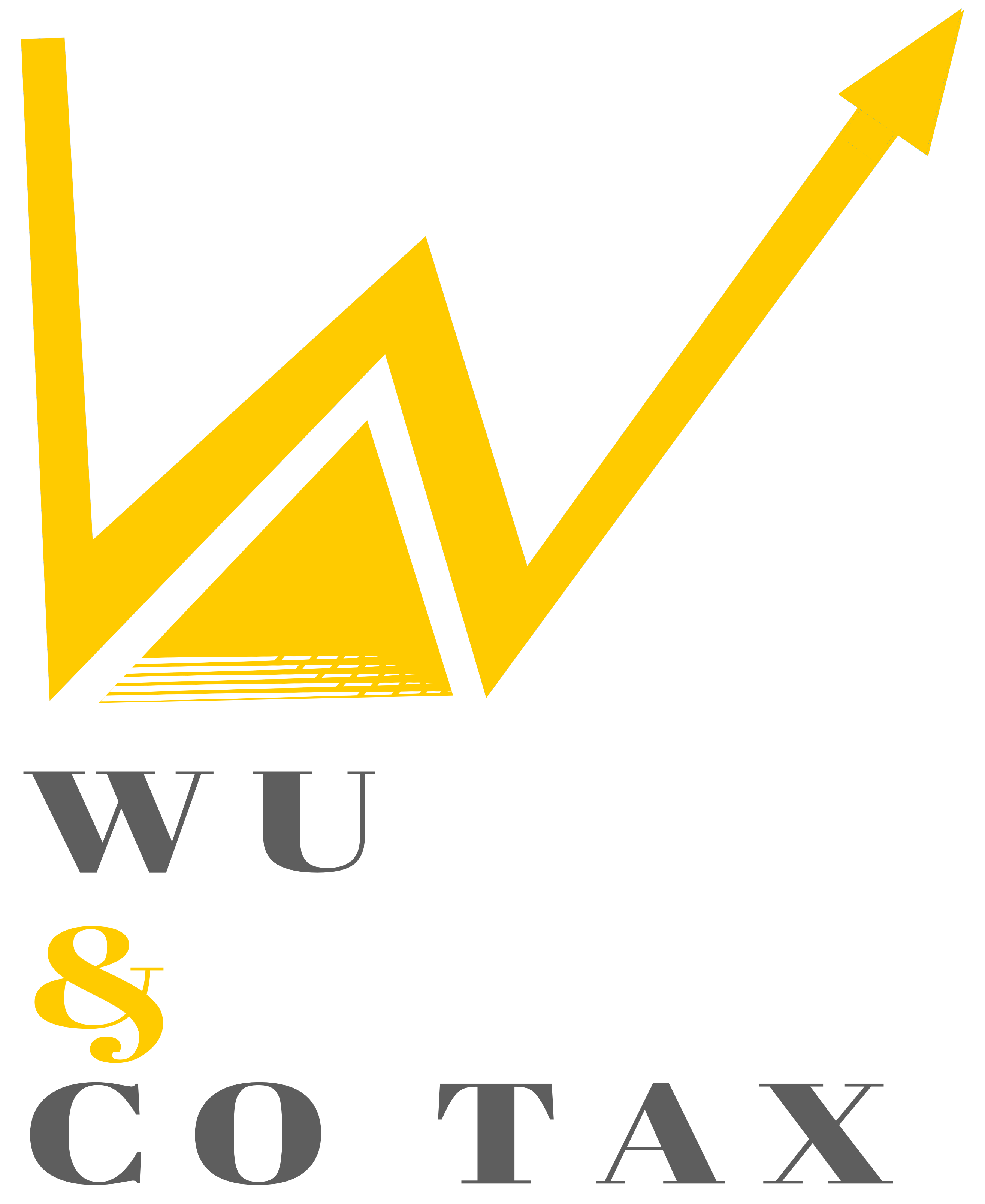 Wu & Co Tax Logo Image